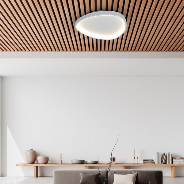 Näve Φωτιστικό οροφής LED Argesa Ø 60,5 cm, λευκό, CCT, τηλεχειριστήριο, ρυθμιζόμενος, Λευκό, Σαλόνι / τραπεζαρία, Μέταλλο, σύγχρονο