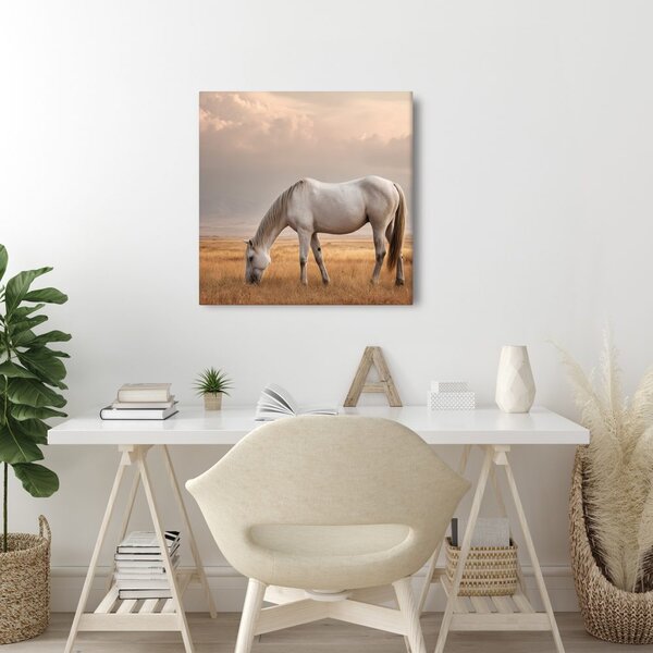 Πίνακας σε καμβά μοναχικό άλογο στο λιβάδι