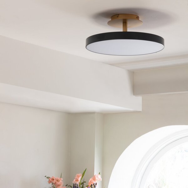 UMAGE LED οροφής Asteria UP PLUS, ανθρακί Ø 60 cm CCT, ρυθμιζόμενος, Μαύρο, Σαλόνι / τραπεζαρία, Μέταλλο, σχεδιασμός