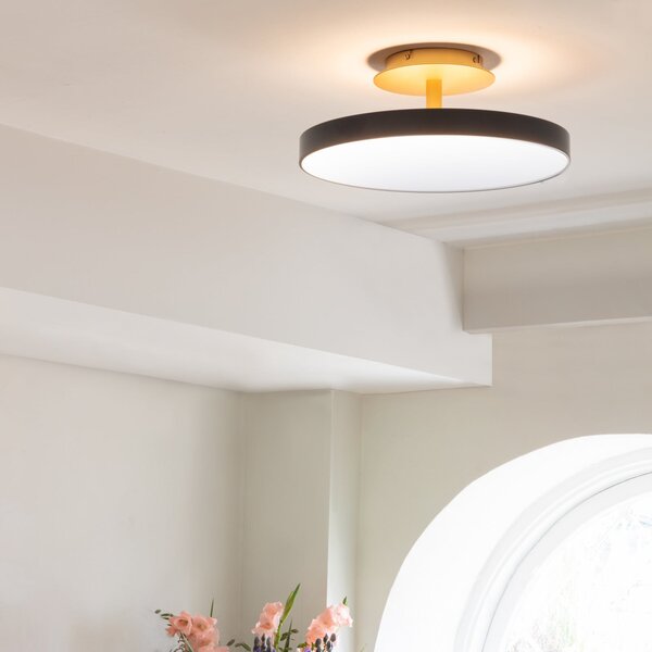 UMAGE LED οροφής Asteria UP PLUS, ανθρακί Ø 43 cm CCT, ρυθμιζόμενος, Μαύρο, Σαλόνι / τραπεζαρία, Μέταλλο, σχεδιασμός
