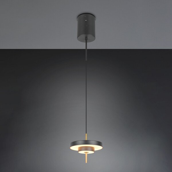 Trio Lighting Κρεμαστή λάμπα LED Keaton μαύρο/χρυσό, Ø 20 cm μέταλλο CCT, ρυθμιζόμενος, Μαύρο, Σαλόνι / τραπεζαρία, Μέταλλο
