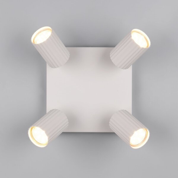 Trio Lighting Προβολέας οροφής Soka, ανοιχτό γκρι, μήκος 20 cm, μέταλλο, 4 φύλλα., ρυθμιζόμενος, Γκρι, Σαλόνι / τραπεζαρία, Μέταλλο, σύγχρονο
