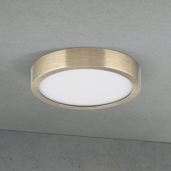 ORION LED οροφής Disc, χρώμα ορείχαλκου αντίκα, Ø 14 cm, CCT, ρυθμιζόμενος, Μπρούτζινο / Αντικέ ορείχαλκου, Σαλόνι / τραπεζαρία, Αλουμίνιο, σύγχρονο