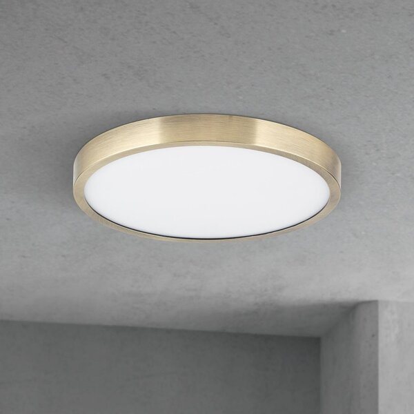 ORION LED οροφής Disc, χρώμα ορείχαλκου αντίκα, Ø 24 cm, CCT, ρυθμιζόμενος, Μπρούτζινο / Αντικέ ορείχαλκου, Σαλόνι / τραπεζαρία, Αλουμίνιο, σύγχρονο