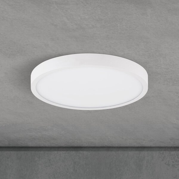 ORION LED οροφής Disc, λευκό Ø 24 cm, CCT, μέταλλο/πλαστικό, ρυθμιζόμενος, Λευκό, Σαλόνι / τραπεζαρία, Αλουμίνιο, σύγχρονο