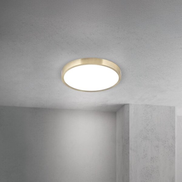ORION LED οροφής Disc, χρώμα ορείχαλκου αντίκα, Ø 24 cm, CCT, ρυθμιζόμενος, Μπρούτζινο / Αντικέ ορείχαλκου, Σαλόνι / τραπεζαρία, Αλουμίνιο, σύγχρονο
