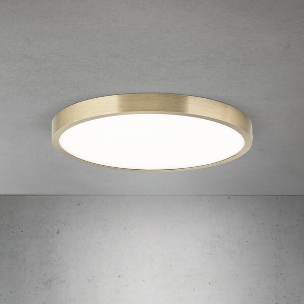 ORION LED οροφής Disc, χρώμα ορείχαλκου αντίκα, Ø 28 cm, CCT, ρυθμιζόμενος, Μπρούτζινο / Αντικέ ορείχαλκου, Σαλόνι / τραπεζαρία, Αλουμίνιο, σύγχρονο