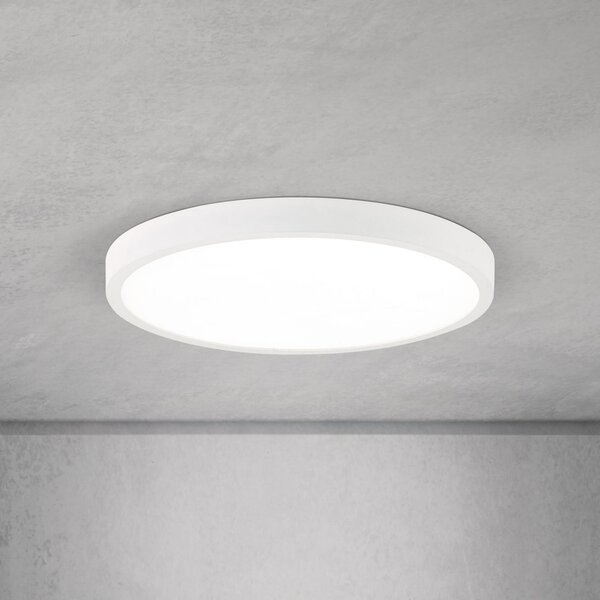 ORION LED φωτιστικό οροφής Disc, λευκό Ø 28 cm, CCT, μέταλλο/πλαστικό, ρυθμιζόμενος, Λευκό, Σαλόνι / τραπεζαρία, Αλουμίνιο, σύγχρονο