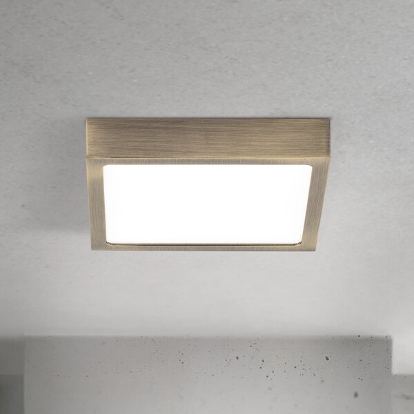 ORION LED οροφής Disc, χρώμα ορείχαλκου αντίκα, μήκος 14 cm, CCT, ρυθμιζόμενος, Μπρούτζινο / Αντικέ ορείχαλκου, Σαλόνι / τραπεζαρία, Αλουμίνιο, σύγχρονο