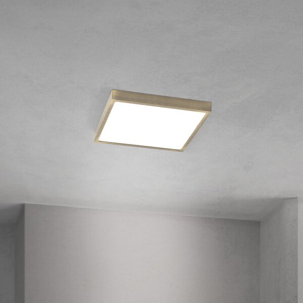 ORION LED οροφής Disc, χρώμα ορείχαλκου αντίκα, μήκος 24 cm, CCT, ρυθμιζόμενος, Μπρούτζινο / Αντικέ ορείχαλκου, Σαλόνι / τραπεζαρία, Αλουμίνιο, σύγχρονο