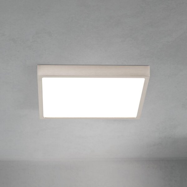 ORION LED φωτιστικό οροφής Disc, χρώμα νικελίου σατινέ, μήκος 24 cm CCT, ρυθμιζόμενος, Μεταλλικό, Σαλόνι / τραπεζαρία, Αλουμίνιο, σύγχρονο