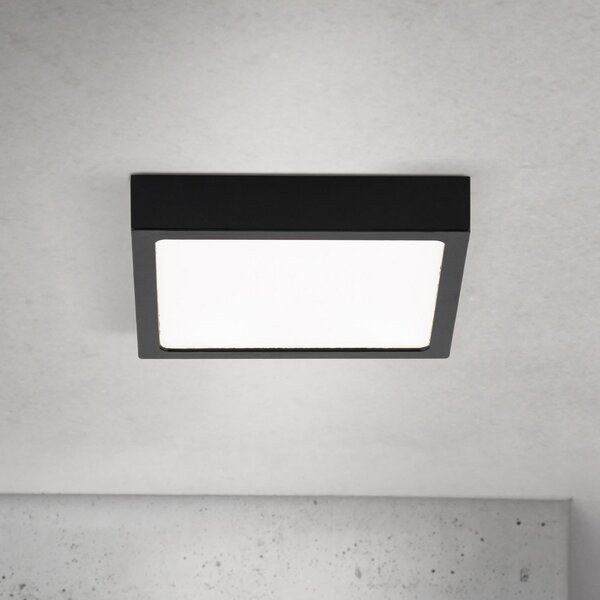 ORION LED οροφής Disc, μαύρο μήκος 14 cm, CCT μέταλλο, ρυθμιζόμενος, Μαύρο, Σαλόνι / τραπεζαρία, Αλουμίνιο, σύγχρονο