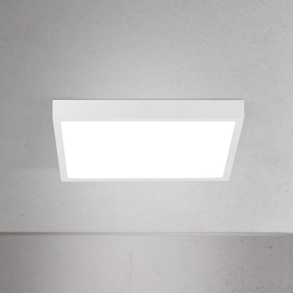 ORION LED οροφής Disc, λευκό, μήκος 24 cm, CCT, μέταλλο, ρυθμιζόμενος, Λευκό, Σαλόνι / τραπεζαρία, Αλουμίνιο, σύγχρονο