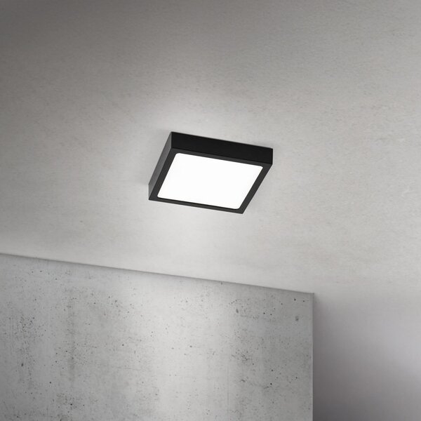 ORION LED οροφής Disc, μαύρο μήκος 14 cm, CCT μέταλλο, ρυθμιζόμενος, Μαύρο, Σαλόνι / τραπεζαρία, Αλουμίνιο, σύγχρονο