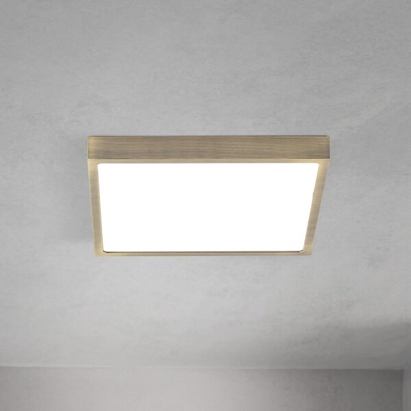 ORION LED οροφής Disc, χρώμα ορείχαλκου αντίκα, μήκος 24 cm, CCT, ρυθμιζόμενος, Μπρούτζινο / Αντικέ ορείχαλκου, Σαλόνι / τραπεζαρία, Αλουμίνιο, σύγχρονο