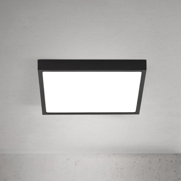 ORION LED οροφής Disc, μαύρο μήκος 24 cm, CCT μέταλλο, ρυθμιζόμενος, Μαύρο, Σαλόνι / τραπεζαρία, Αλουμίνιο, σύγχρονο