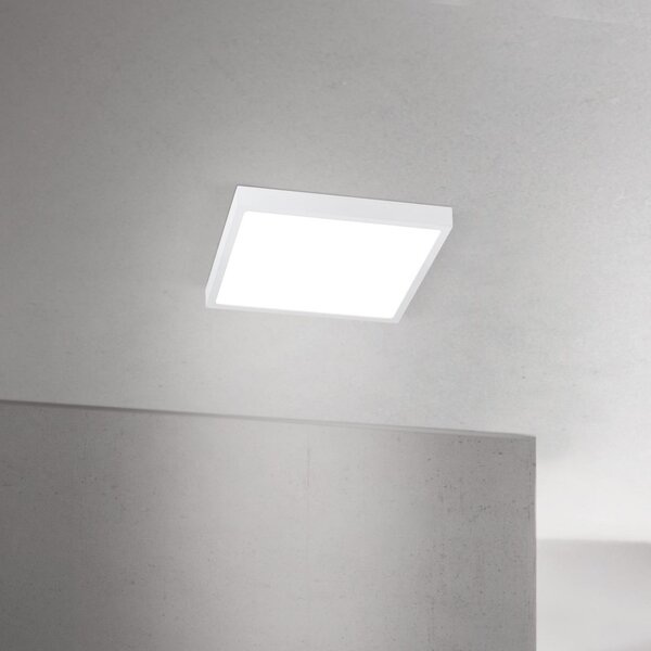 ORION LED οροφής Disc, λευκό, μήκος 24 cm, CCT, μέταλλο, ρυθμιζόμενος, Λευκό, Σαλόνι / τραπεζαρία, Αλουμίνιο, σύγχρονο