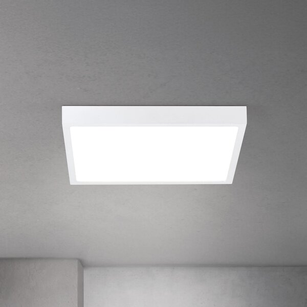ORION LED οροφής Disc, λευκό Μήκος 40 cm CCT Μέταλλο/πλαστικό, ρυθμιζόμενος, Λευκό, Σαλόνι / τραπεζαρία, Αλουμίνιο, σύγχρονο