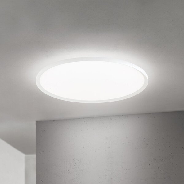 ORION LED φωτιστικό οροφής Kant, Ø 80 cm, λευκό, CCT, μέταλλο/πλαστικό, ρυθμιζόμενος, Λευκό, Σαλόνι / τραπεζαρία, Αλουμίνιο, σύγχρονο