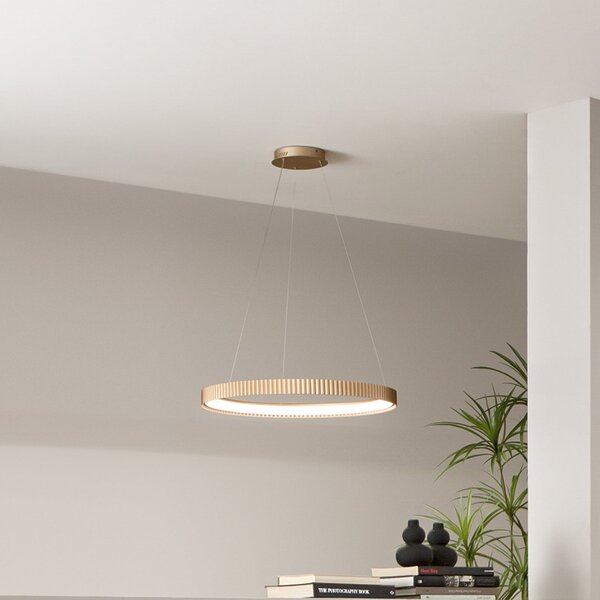 Luce Ambiente Design Κρεμαστό φωτιστικό LED Niike, χρυσό χρώμα, Ø 50 cm, μέταλλο, CCT, Χρυσό / Ορείχαλκου, Σαλόνι / τραπεζαρία, Μέταλλο, σύγχρονο