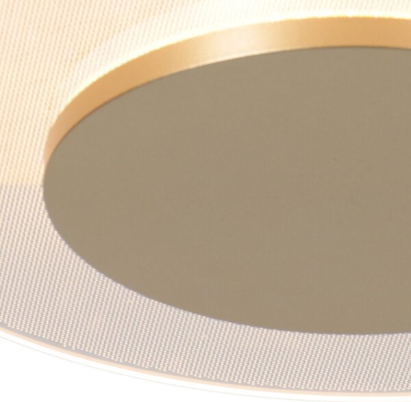 Steinhauer Φωτιστικό οροφής LED Lido, χρυσό χρώμα, Ø 28 cm, ρυθμιζόμενος, Χρυσό / Ορείχαλκου, Σαλόνι / τραπεζαρία, Μέταλλο, σύγχρονο
