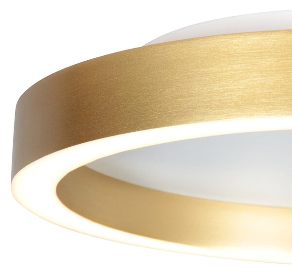 Steinhauer LED φωτιστικό οροφής Ringlux χρυσό χρώμα, Ø 40 cm, μέταλλο, 2.700 K, ρυθμιζόμενος, Χρυσό / Ορείχαλκου, Σαλόνι / τραπεζαρία, Μέταλλο, σύγχρονο