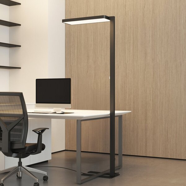 Arcchio Φωτιστικό δαπέδου LED Timon, 54W, μαύρο, ύψος 195 cm, ρυθμιζόμενος, Μαύρο, Μελέτη / Γραφείο, Αλουμίνιο, σύγχρονο, Μόνιμη σκιά