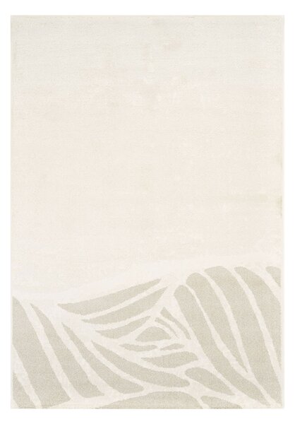 Χαλί Διαδρόμου (80x150) Ezzo Pavia F071A3R Cream