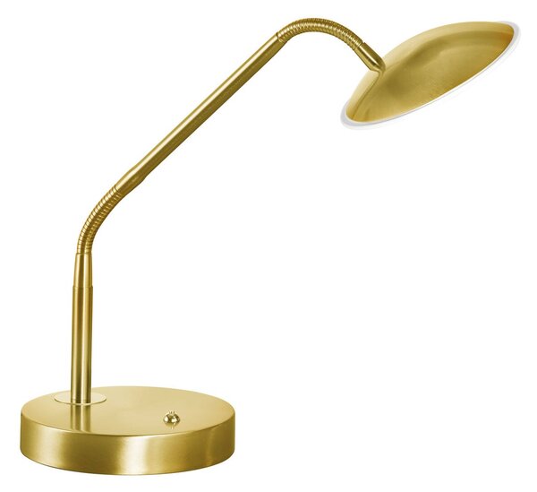 FISCHER & HONSEL Λάμπα LED Tallri, ορείχαλκος, ύψος 60 cm, CCT, ρυθμιστής έντασης με αφή, ρυθμιζόμενος, Χρυσό / Ορείχαλκου, Σαλόνι / τραπεζαρία, Μέταλλο, σύγχρονο