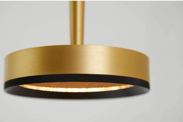 LOOM DESIGN LED κρεμαστό φωτιστικό Nyx P1, ορείχαλκος, αλουμίνιο, ρυθμιζόμενος, Χρυσό / Ορείχαλκου, Σαλόνι / τραπεζαρία, Αλουμίνιο, σύγχρονο