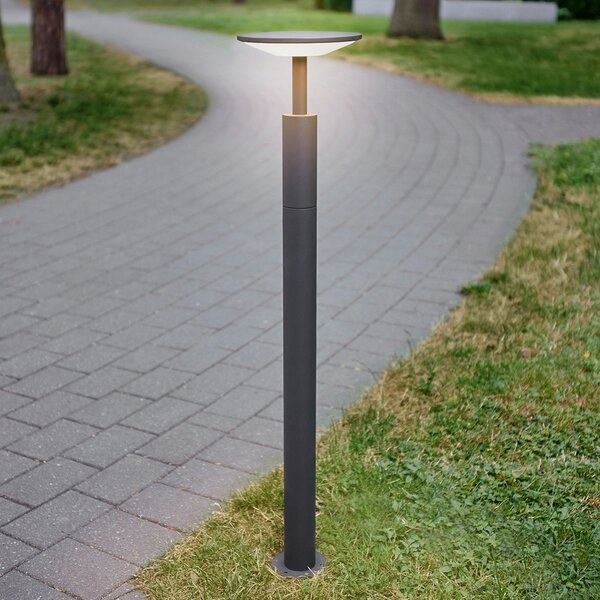 Lucande Φωτιστικό μονοπατιών LED Fenia, 100 cm, ανθρακί, IP65, Μαύρο, Αλουμίνιο, σύγχρονο