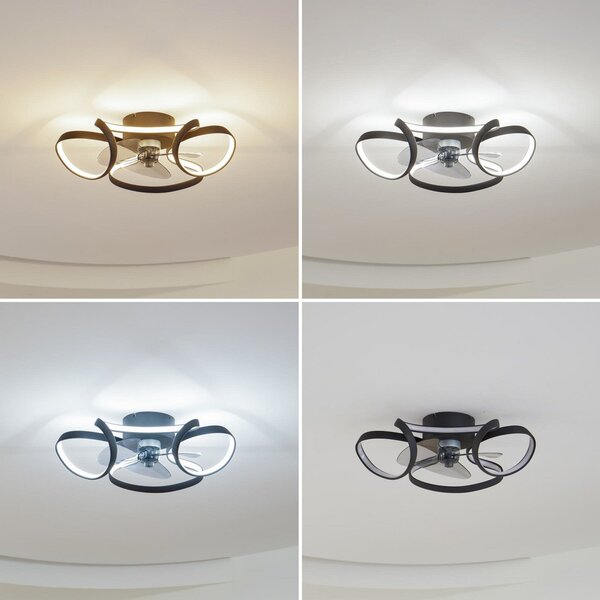 Lindby Ανεμιστήρας οροφής LED Lomata, μαύρος, αθόρυβος, Ø 23 cm, ρυθμιζόμενος, Μαύρο, Σαλόνι / τραπεζαρία, Αλουμίνιο, σύγχρονο