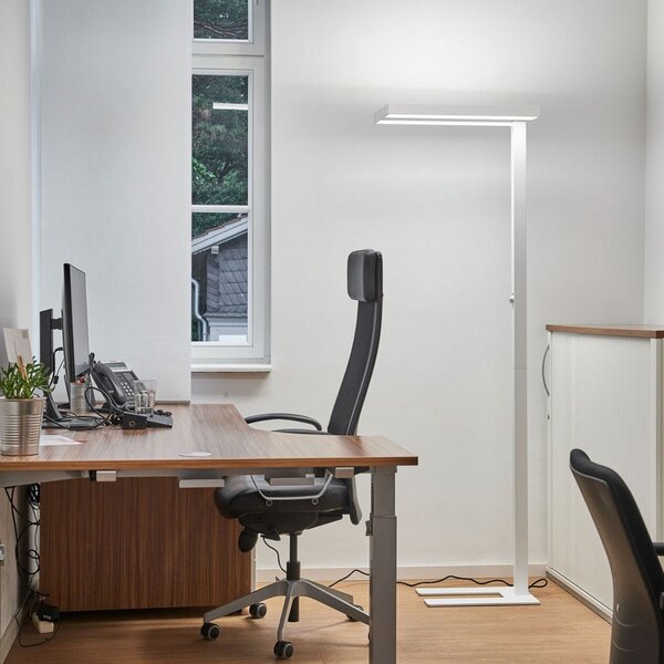 Arcchio LED-Stehlamp Logan Basic, λευκό, 6.000 lm, ρυθμιζόμενη ένταση φωτισμού, ρυθμιζόμενος, Λευκό, Μελέτη / Γραφείο, Αλουμίνιο, σύγχρονο, Όρθιος προβολέας