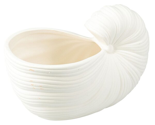 Κασπώ (20x12x10) K-M Sea Shell 095250550