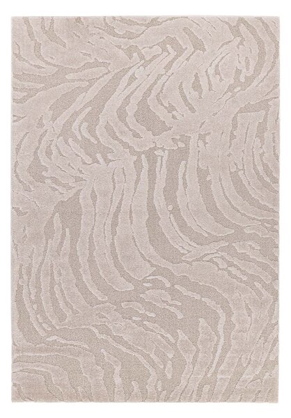 Χαλί (200x290) Royal Carpet Cocoon 59615/055