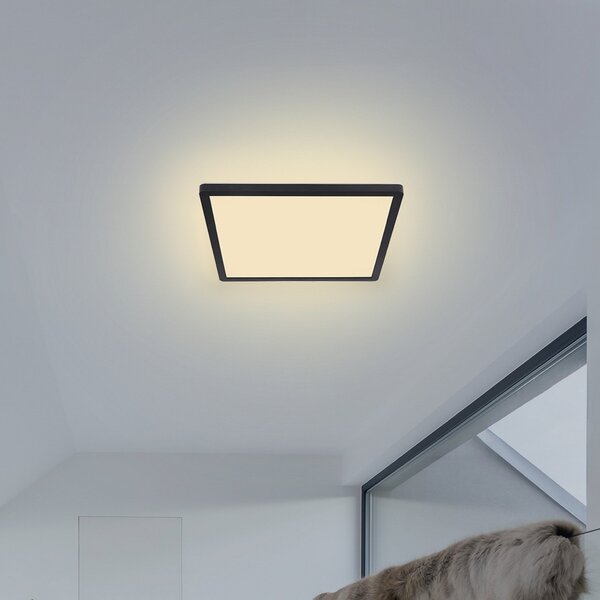 Globo Φωτιστικό οροφής LED Sapana, γωνιακό, dimmable, μαύρο, ρυθμιζόμενος, Μαύρο, Σαλόνι / τραπεζαρία, Πλαστικό, σύγχρονο