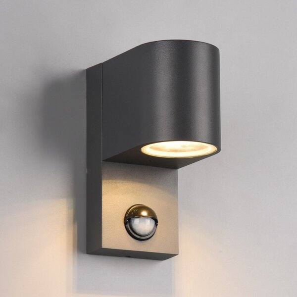 Trio Lighting Εξωτερικό φωτιστικό τοίχου Roya 1flg, αισθητήρας, στρογγυλό ανθρακί, ρυθμιζόμενος, Μαύρο, Μέταλλο, σύγχρονο