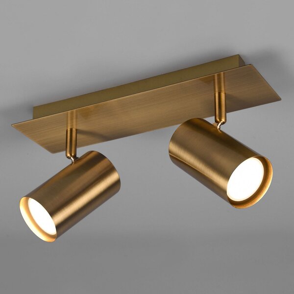 Trio Lighting Προβολέας οροφής Marley, ορείχαλκος αντίκα, 2-φωτισμός, ρυθμιζόμενος, Μπρούτζινο / Αντικέ ορείχαλκου, Σαλόνι / τραπεζαρία, Μέταλλο, σύγχρονο