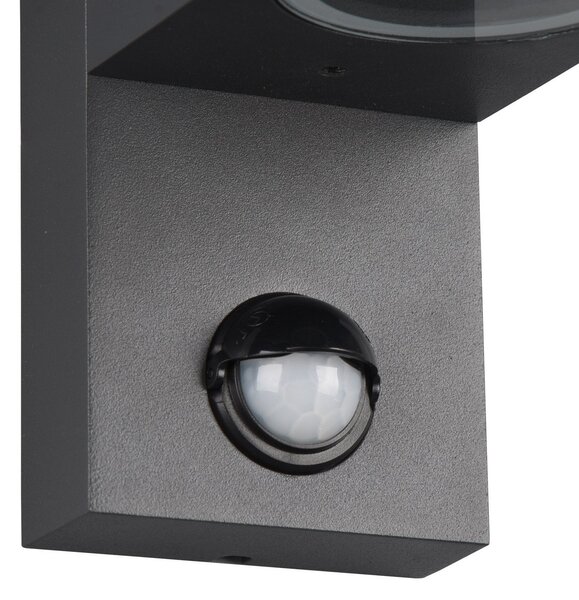 Trio Lighting Εξωτερικό φωτιστικό τοίχου Roya 2flg, αισθητήρας, στρογγυλό ανθρακί, ρυθμιζόμενος, Μαύρο, Μέταλλο, σύγχρονο
