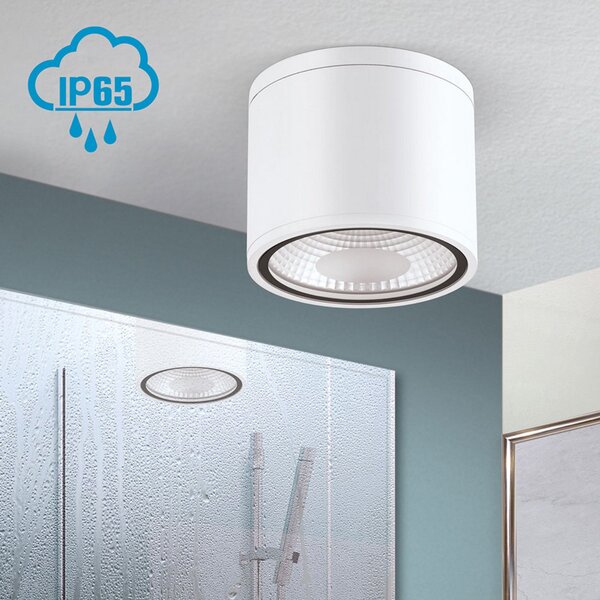 ORION Προβολέας οροφής LED Sputnik IP65 Ø 14,5 cm λευκό, Λευκό, Μπάνιο, Μέταλλο, σύγχρονο, Υπαίθριος προβολέας / ακίδα εδάφους