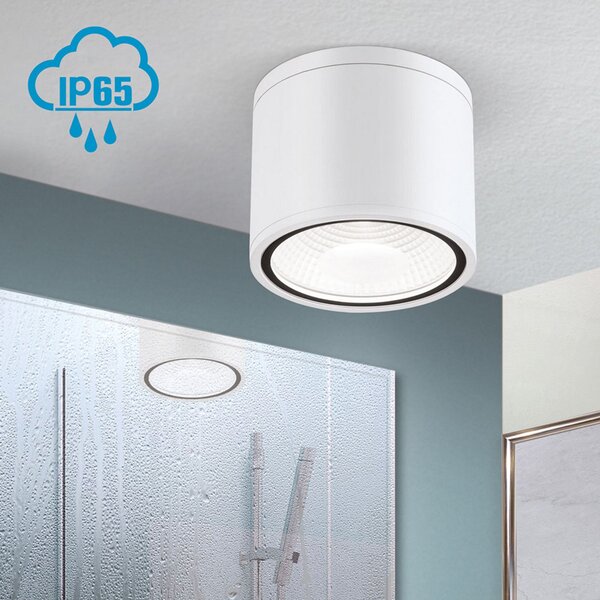 ORION Προβολέας οροφής LED Sputnik IP65 Ø 14,5 cm λευκό, Λευκό, Μπάνιο, Μέταλλο, σύγχρονο, Υπαίθριος προβολέας / ακίδα εδάφους