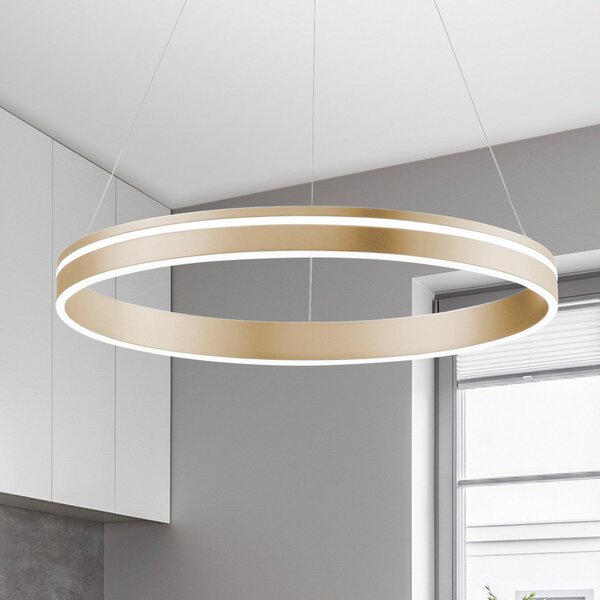 Q-Smart-Home Paul Neuhaus Q-VITO LED κρεμαστό φωτιστικό, 1 δακτύλιος, ρυθμιζόμενος, Χρυσό / Ορείχαλκου, Σαλόνι / τραπεζαρία, Μέταλλο, σύγχρονο