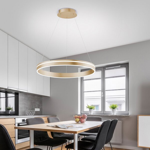 Q-Smart-Home Paul Neuhaus Q-VITO LED κρεμαστό φωτιστικό, 1 δακτύλιος, ρυθμιζόμενος, Χρυσό / Ορείχαλκου, Σαλόνι / τραπεζαρία, Μέταλλο, σύγχρονο