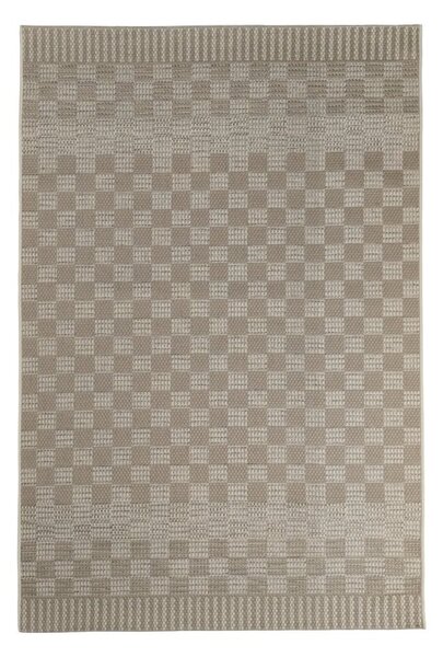 Χαλί All Season (200x290) Tzikas Carpets Clyde 45015-070