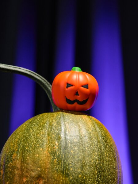 Sinsay - Παιχνίδι κατά του άγχους Halloween - πορτοκαλι