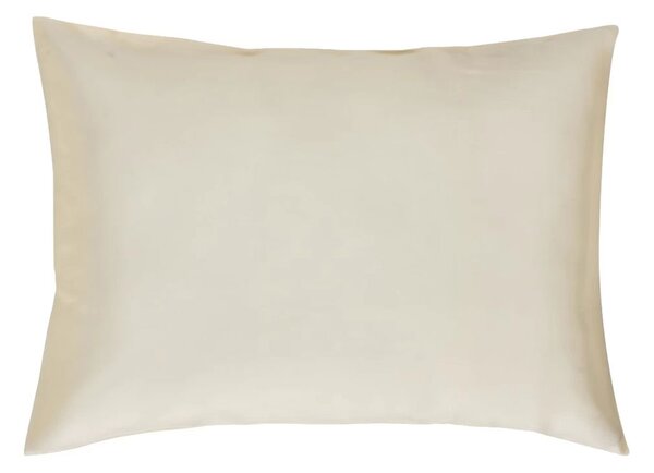 Μεταξωτή Μαξιλαροθήκη Με Φερμουάρ (50x75) Kentia Stylish Silk Z12-Ivory