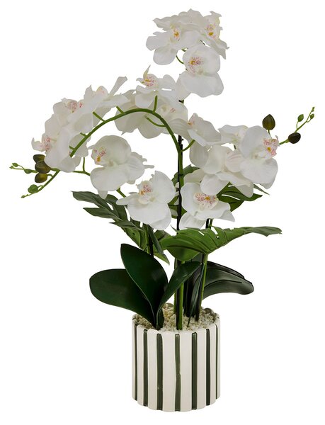 Τεχνητό Λουλούδι Σε Γλάστρα 81εκ. A-S Orchid Asia 214107