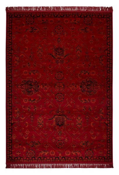 Χαλί (160x230) Βιοκαρπέτ Mauri 02265A Burgundy