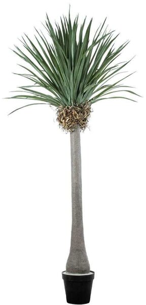 Τεχνητό Δέντρο Beaucarnea Palm 20048 250cm Beige-Green Globostar