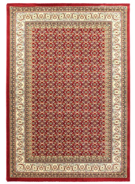 Χαλί (140x200) Royal Carpet Olympia 5238B Red